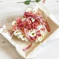 מארז ורוד מלבלב