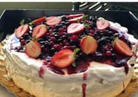 פבלובה משפחתית